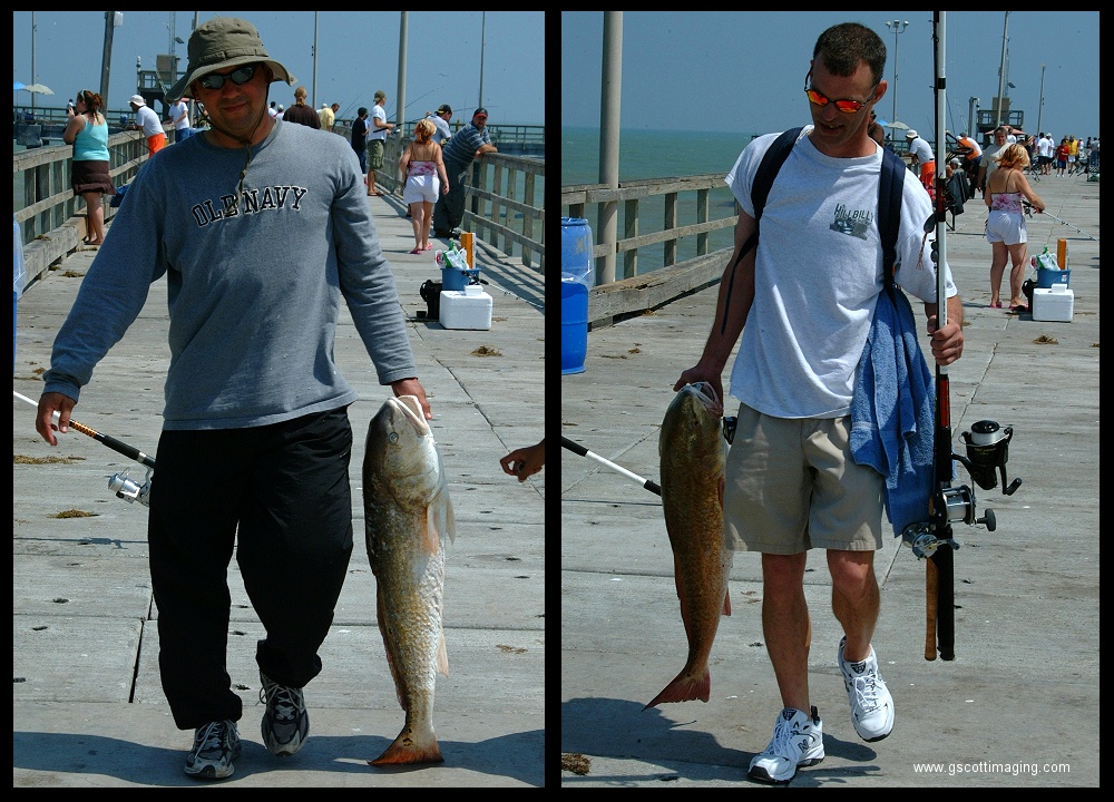(09) pier montage.jpg   (1000x720)   337 Kb                                    Click to display next picture